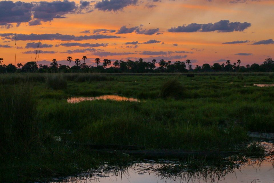 Botswana - Delta