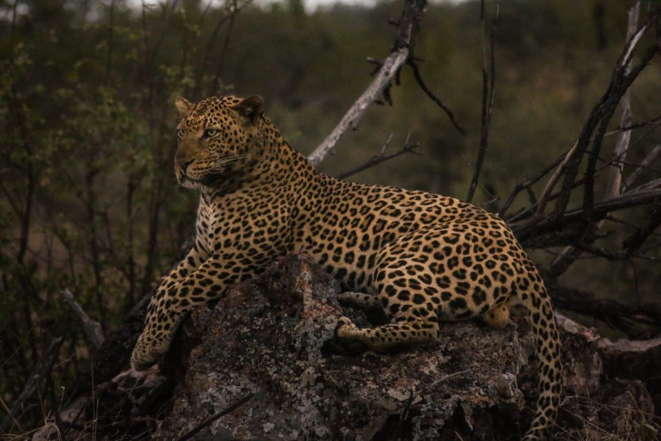 Bruegger 2017 (786)-13