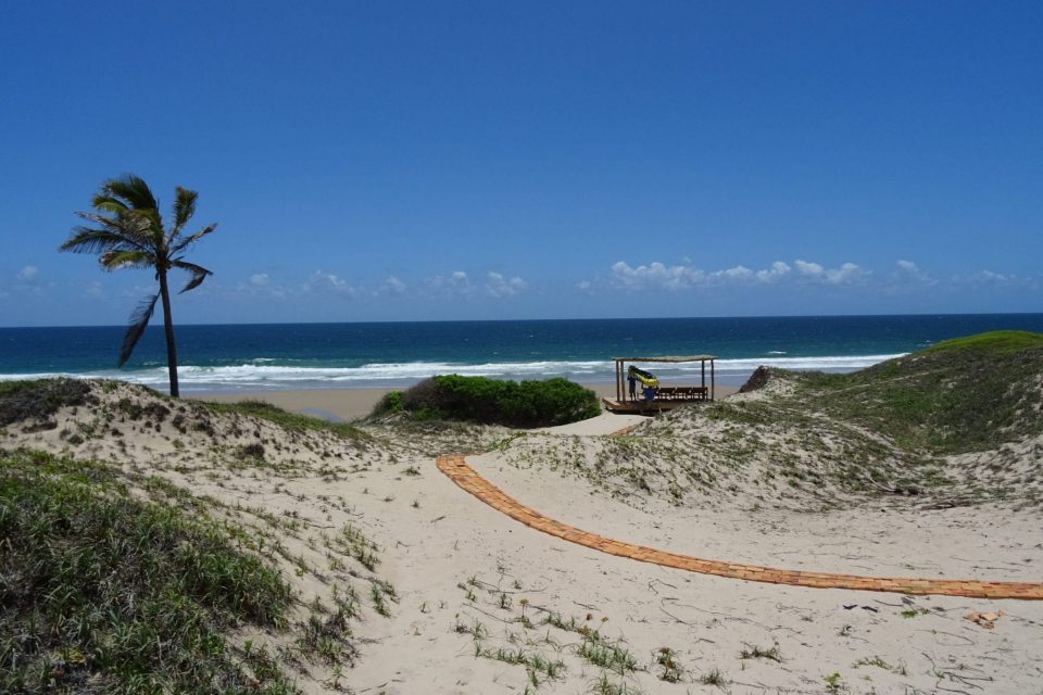 Bush Beach 1 Bush Beach 1