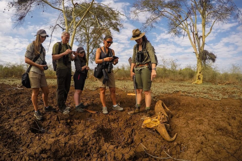 Matakataka safari walk