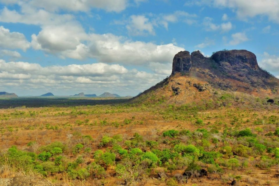 Niassa Reserve